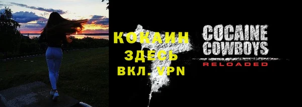 молекула духа Белоозёрский