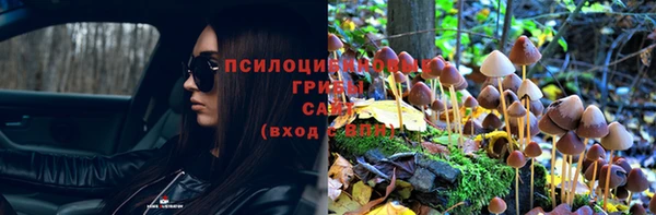 дурь Бронницы