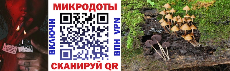 купить закладку  shop Telegram  Галлюциногенные грибы Cubensis  Саратов 